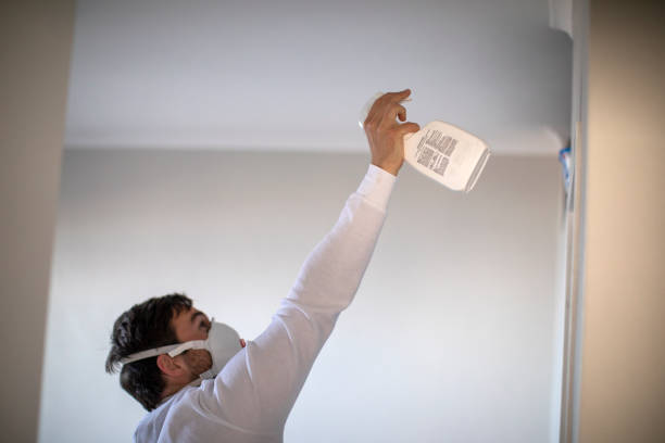 Menomonie, WI Mold Removal Company