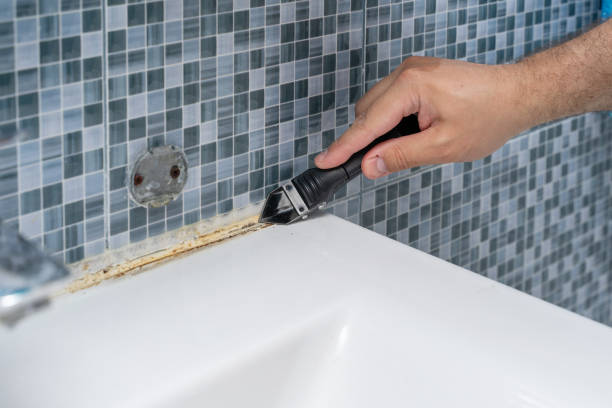 Best Office Mold Removal Services  in Menomonie, WI
